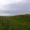 Triangulation Pillar on Eggardon Hill