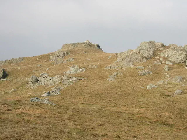 Moel Llyfnant - Gwynedd