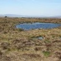 Small loughs on Kevelin Moor