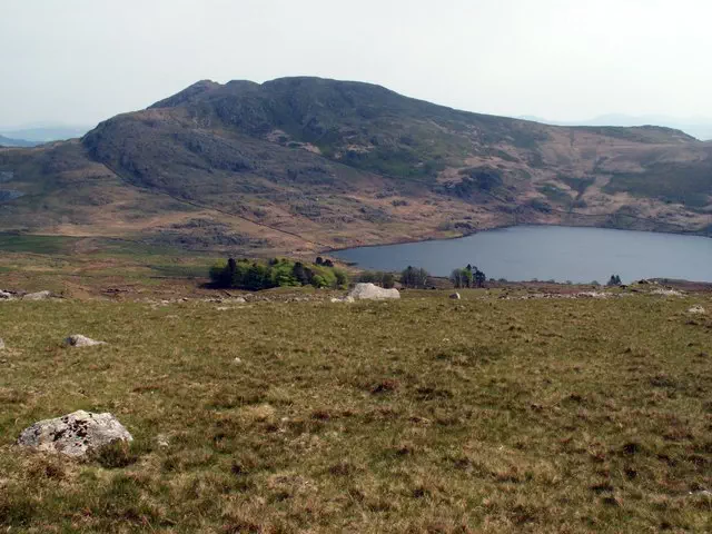 Moel-ddu - Gwynedd