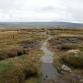 Great Shunner Fell