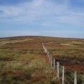 Caldcleuch Head Fence