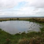 Pool on the summit of Wigford Down