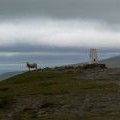 Summit of Sugar Loaf