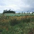 Detling Hill