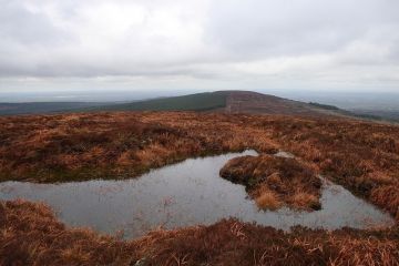 Baunreaghcong