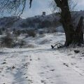 Parson's Folly in snow, Bredon Hill
