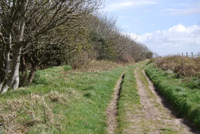 Ridgeway Hill - Dorset