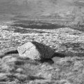 Bog and Boulder, Creag Garbh.