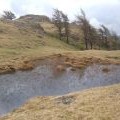 Small tarn on Birk Fell